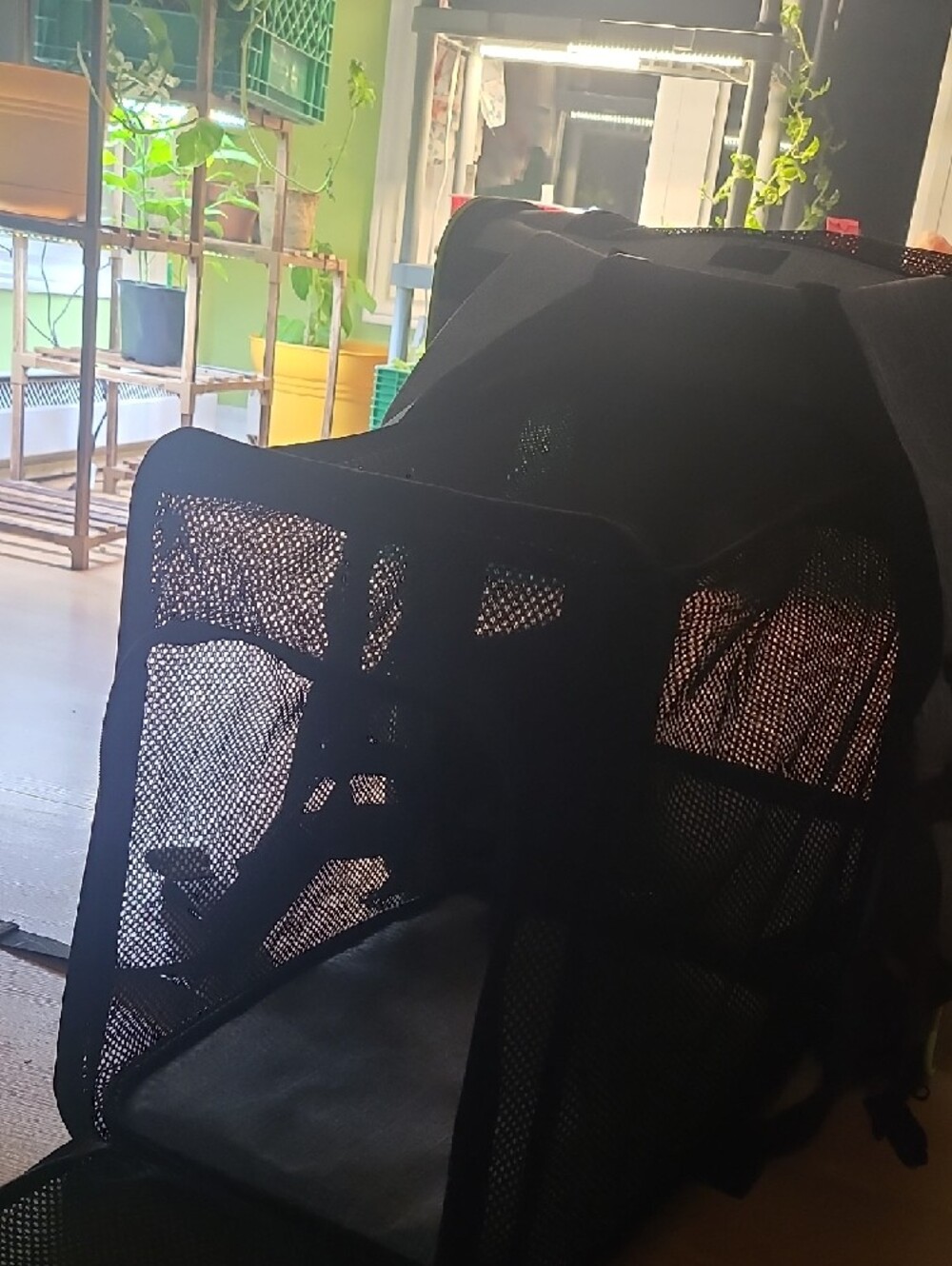 Extendable Pet Carrier/Backpack - Picture 3 of 5